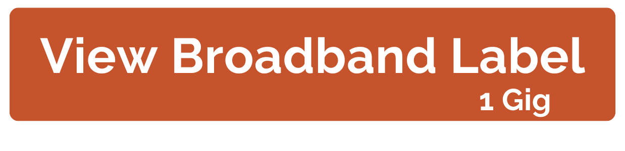 Broadband Label button-1 Gig